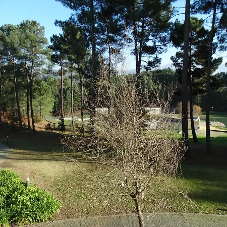 Hi - De Juventude * 멜가코